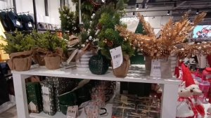 Алог.Псковские магазины.Псковская жизнь