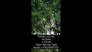 Теперь все видео ЧИСТКИ в Дзен и на Рутуб!