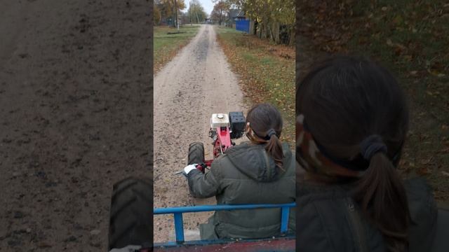 Прекрасная женщина, красавица и просто моя жена, рулит мотоблоком МТЗ по деревне!