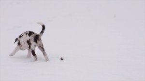 19887654-uhd_3840_2160_24fps