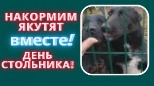 День стольника для наших якутят!