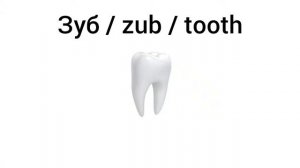 How to Pronounce tooth in Russian