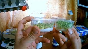 Эффект полостных структур ЧАСТЬ - 4