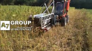 Конопля: комбайн для сбора #комбайн #коноплянка #травы