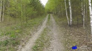 Один в лесу.Три дня по Мордовским лесам.День 2