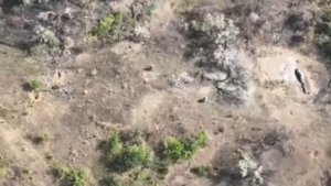 Украинские боевики бросили позицию и побежали, но один наступил на свою же мину