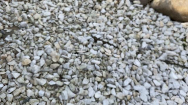 Не советую засыпать мраморной крошкой или камнем клумбы и цветники.  После дождя сразу зарастает.