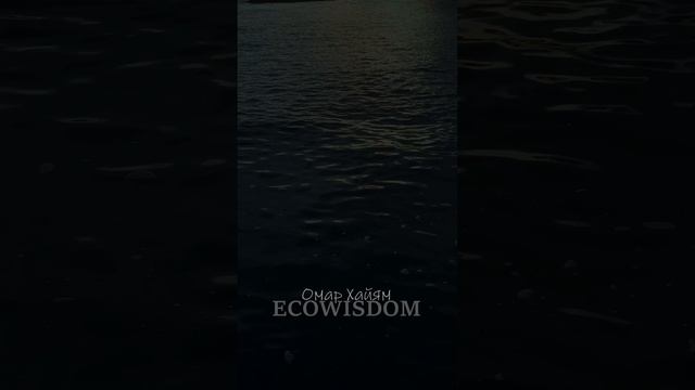 ECOWISDOM Омар Хайям НЕ ЗАВИДУЙ! #мудрость #цитаты #ecowisdom