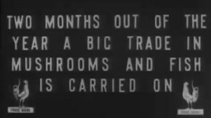 Дореволюционная Москва на уникальном видео 1908 года.