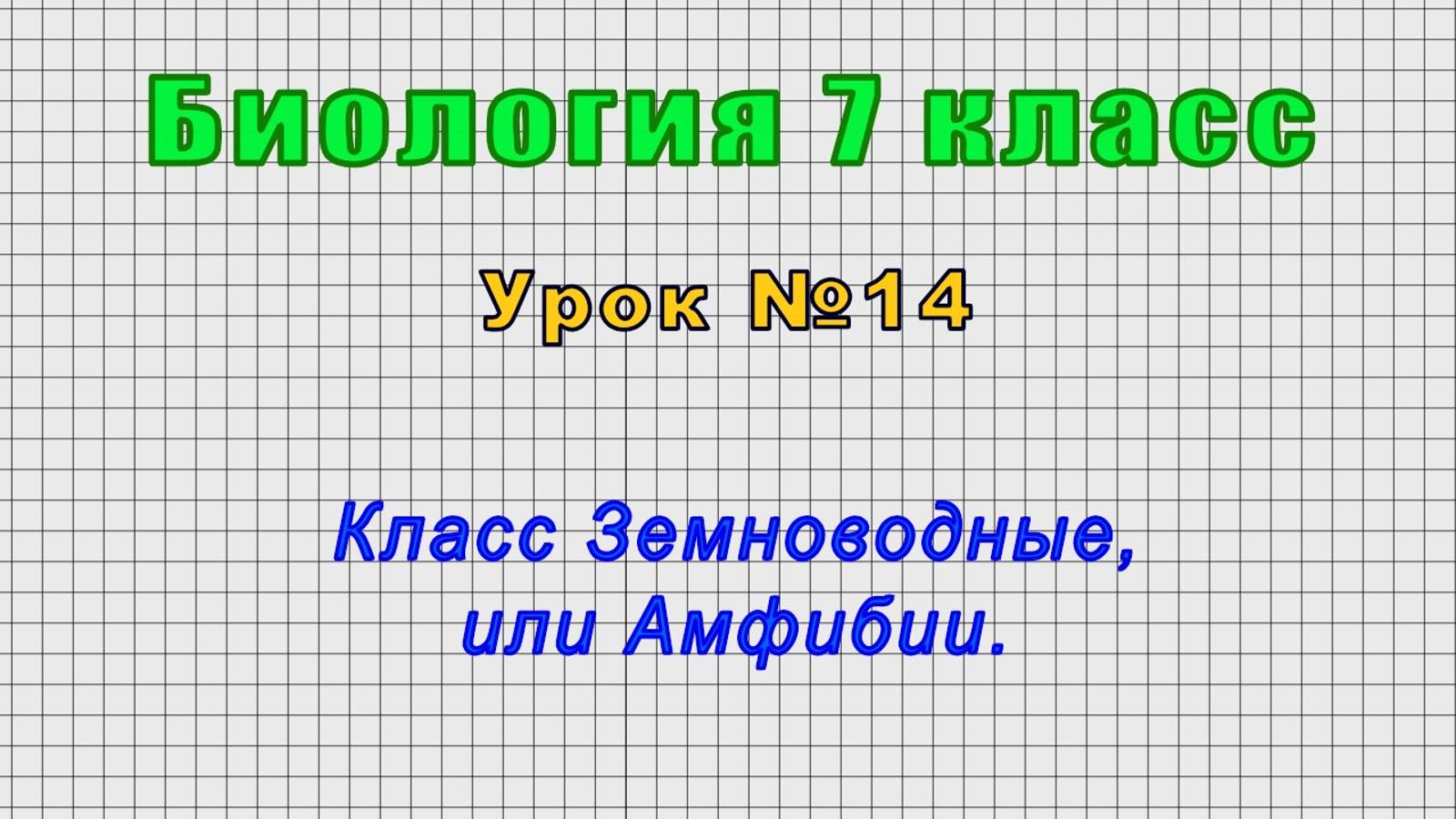 Биология 7 класс (Урок№14 - Класс Земноводные, или Амфибии.)