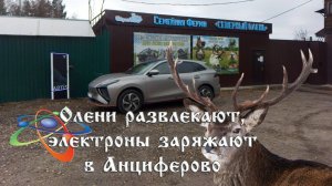 Олени развлекают, электроны заряжают в Анциферово