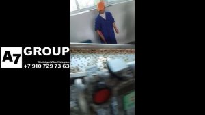 Линия переработки топинамбура в порошок #порошок #топинамбур
