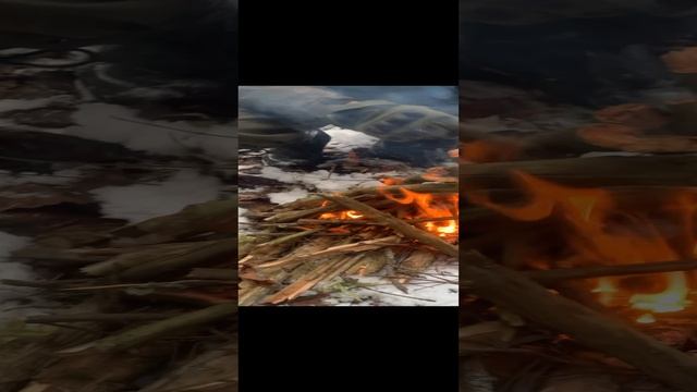 В поисках домонгола