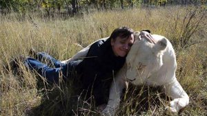 Витино счастье  -львица ГЕРДА !