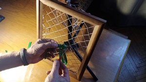 video_20241104_132249