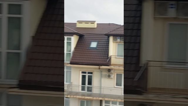 Цена #геленджик #жизньнаморе #shorts смотреть онлайн