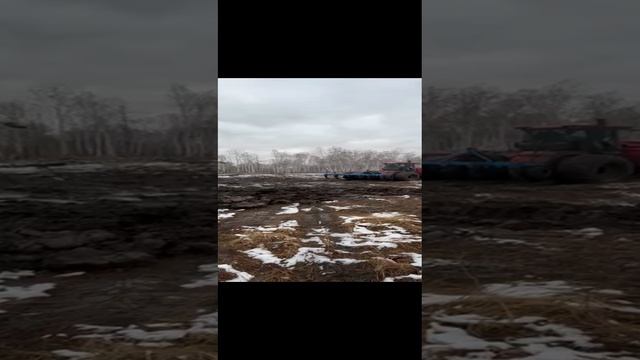 #Лес