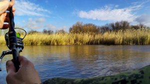 Жесть ветер с порывами до 21 мс. А у щуки активность!!!На Бердие с Васей , лавля на спиннинг 2024