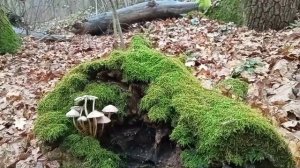 Где то в тридевятом царстве! 😁😁😁☺️☺️☺️