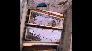 Три в одну_как это_051024