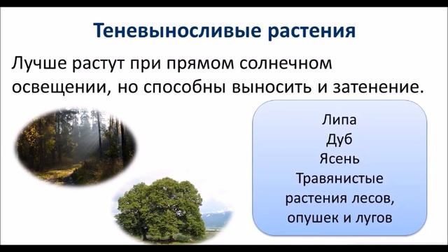ЭКОЛОГИЧЕСКИЕ ФАКТОРЫ