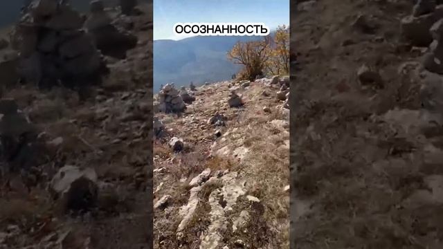 ОСОЗНАННОСТЬ