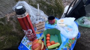 Янинский лес, 5 мая 2024 г.