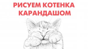 Урок рисования. Кот карандашом.
