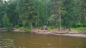 Мобильная баня СТЭК в лесу