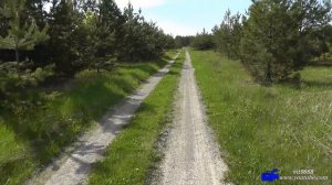 Поход в лес с женой.По просторам Мордовии.День 2