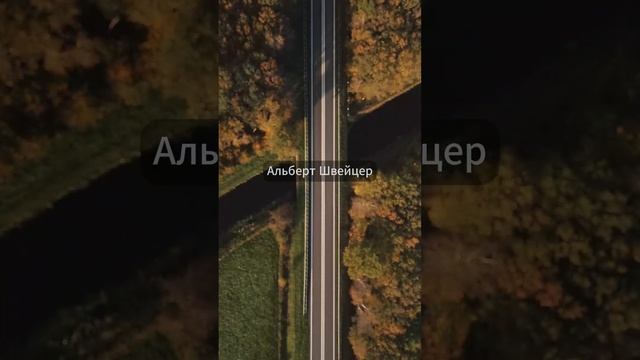 Цитаты великих людей - Альберт Швейцер #психология #цитатывеликихлюдей #цитаты #философия #успех смотреть онлайн