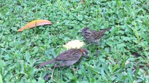 8537610-uhd_3840_2160_30fps