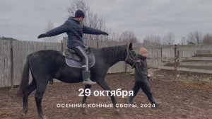 29 октября: Четвёртый день осенних конных сборов в Быму