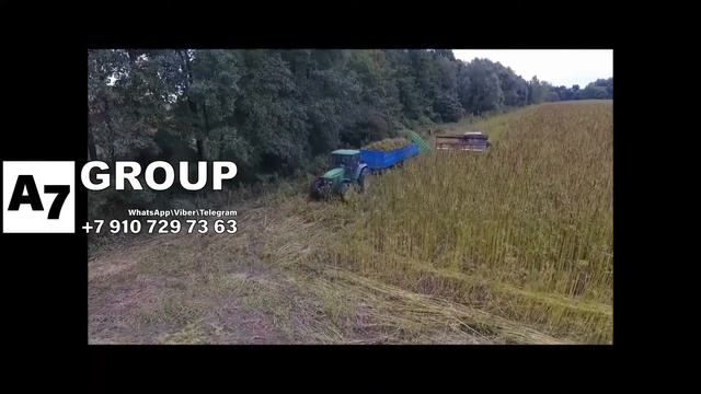 Как собрать семяна конопли, льна #жатка #семена