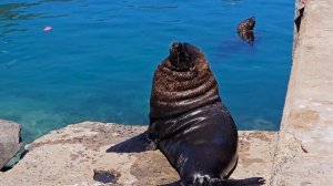 20134071-uhd_3840_2160_60fps