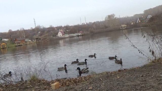 ЗАГОРЬЕ 26.10.2021