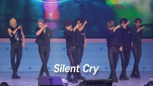 Stray Kids Silent Cry fancam