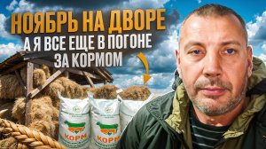 Заготовка кормов в ноябре🏃♂️🌾: мои “тренировки” по пауэрлифтингу 💪😤 #МоеПодворье