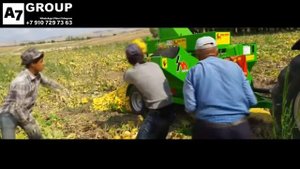 Тыквоуборочный комбайн TR 1700 с ручной подачей