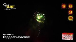 СС8829 Салют Гордость России