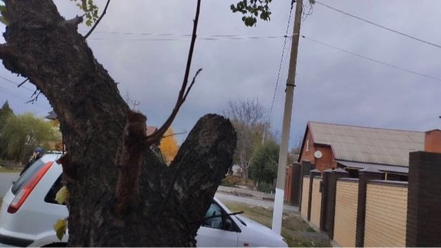 2 слитый кадр подмышечника 2(фильм выйдет на канале моего друга)