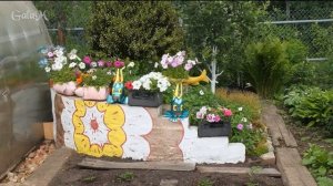 #Рассада цветов и овощей Киров