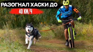 Омск 2024Личные рекорды | Гонка по размытой трассе и стартовый протокол на суе-фа