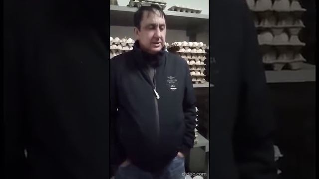 Индейка Краснодара Белая Широкогрудая и Бронзовая Северокавказская смотреть онлайн