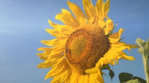 Анапа_2024_дорога_домой