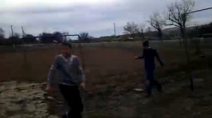 Безумные Вафлисты