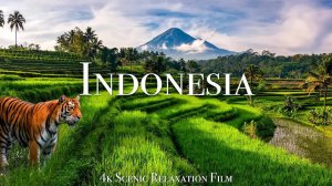 Indonesia 4K - Scenic Relaxation Film With Calming Music