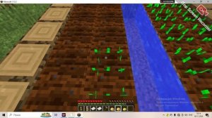 Грабитель хотел ограбить магазин в Майнкрафте