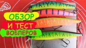 Обзор и тест воблеров!