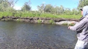 Нахлыст - это клёво!